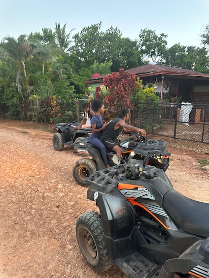 Three ATVs parked on a dirt path with a house and lush greenery in the background. 5