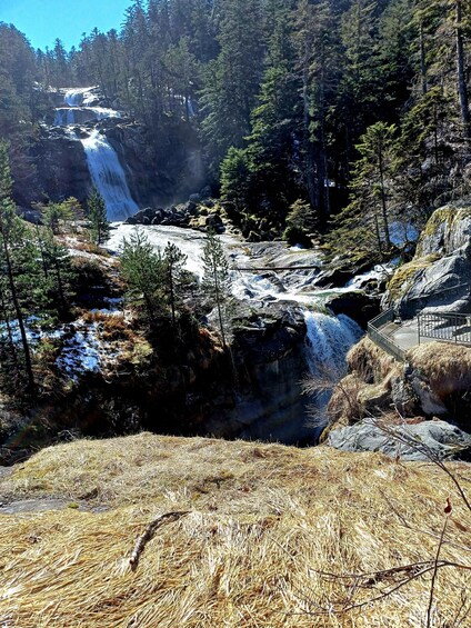 A waterfall cascading over rocks in a forested area with pine trees. 4