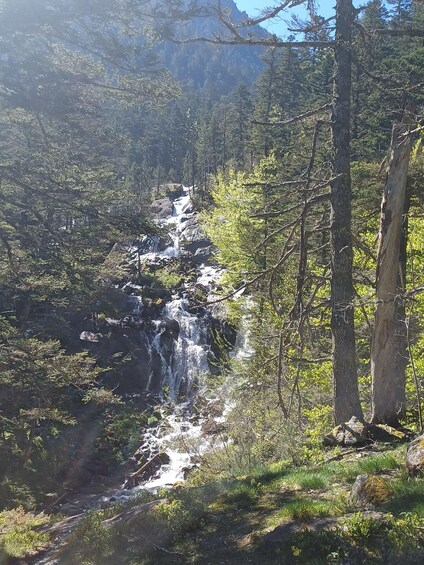 A waterfall cascading down a rocky cliff surrounded by dense forest. 5