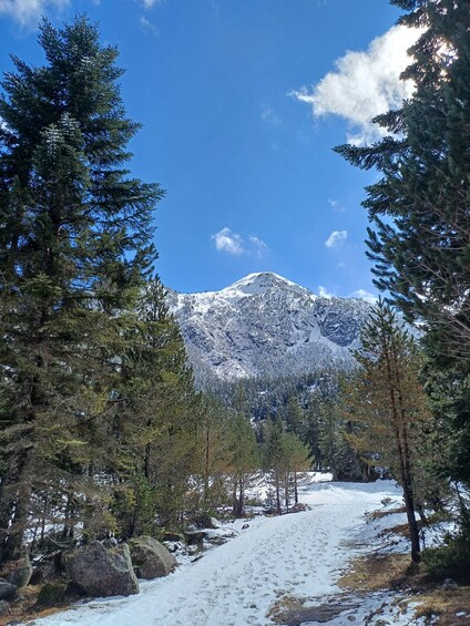 A snow-covered mountain range with evergreen trees in the foreground. 2