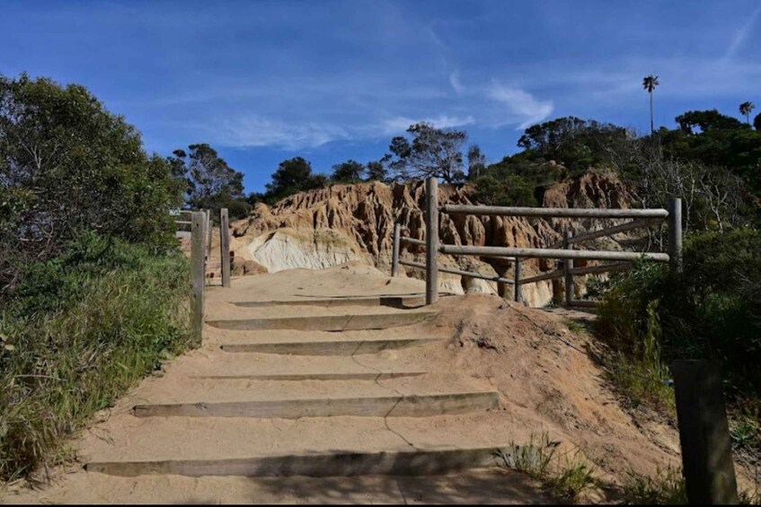 A dirt staircase leading up to a wooden gate with a rocky cliff in the background. 1
