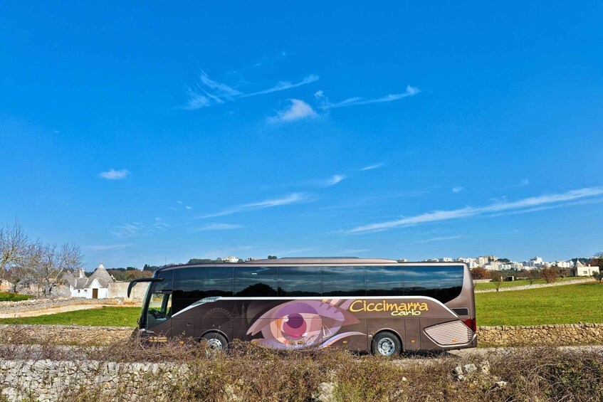A bus with 'Cicinnarra' written on its side parked in a grassy area with a clear blue sky in the background. 1