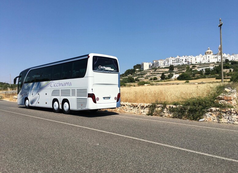 A white bus with 'Ciccimarra' written on the side driving on a road. 5