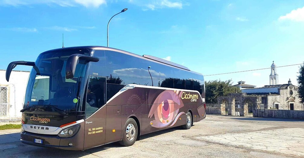 A large bus with 'Ciccimarina carlo' branding parked on a paved area. 4
