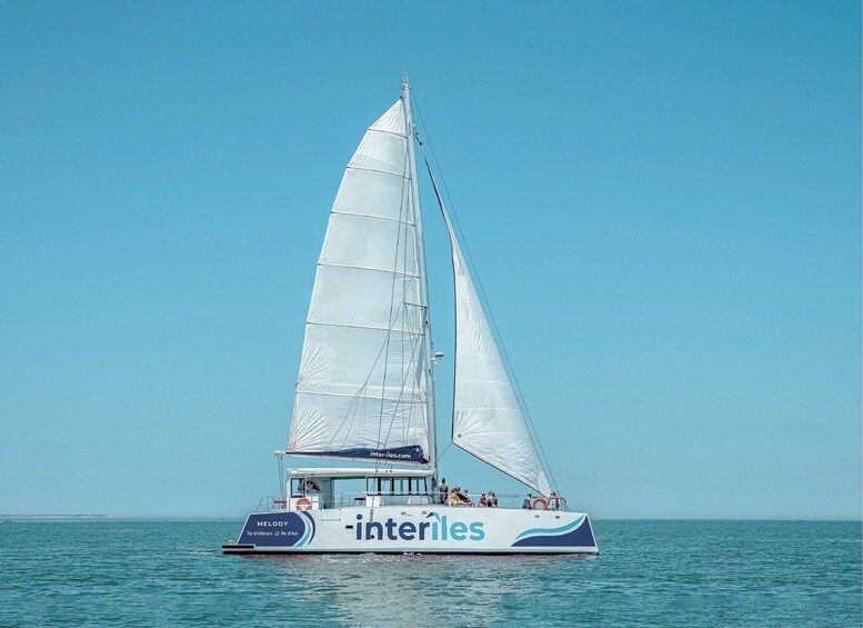 A sailboat with the name 'interIsles' on its side, sailing on calm waters under a clear blue sky. 1