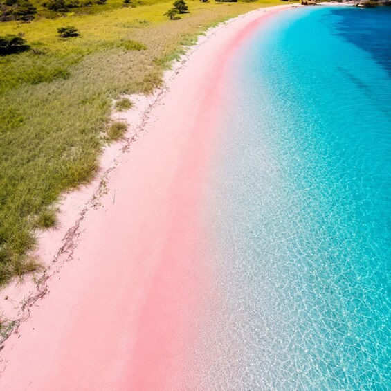 A beach with a pink sand shore and clear blue water. 1
