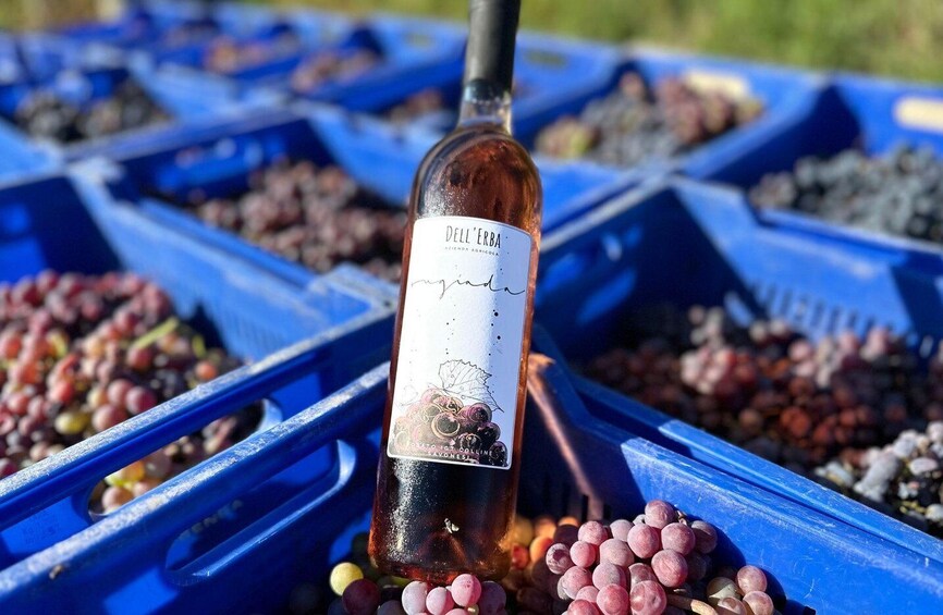 A bottle of Del'Erba wine with a label, surrounded by grape clusters in blue crates. 5
