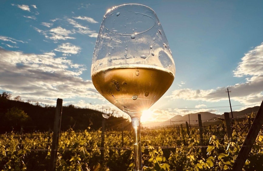 A wine glass with a vineyard in the background. 1