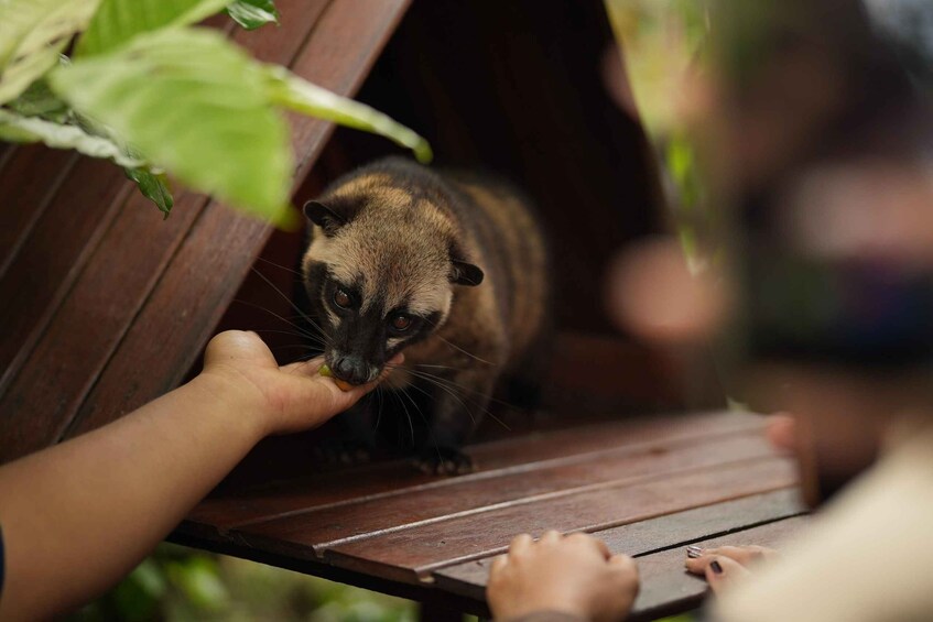 Lokasari: Coffee Plantation Tour, Herbal Tea & Pure Honey 1