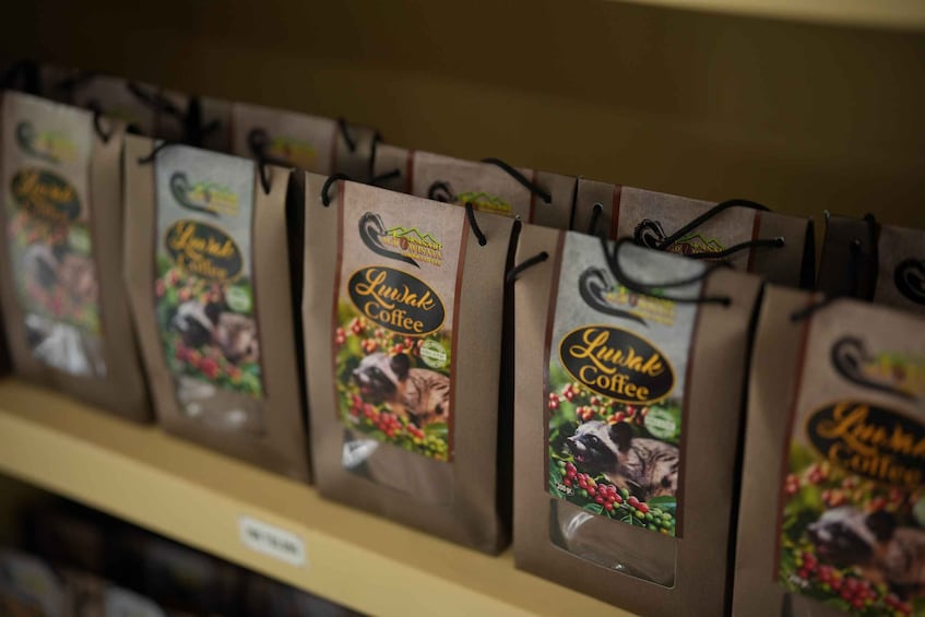 Picture 14 for Activity Lokasari: Coffee Plantation Tour, Herbal Tea & Pure Honey 2