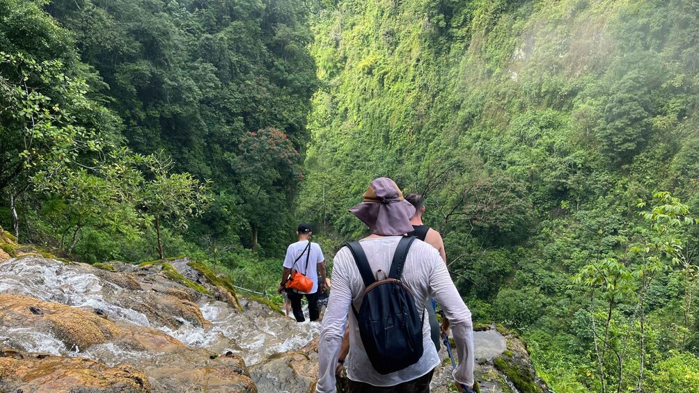 Hikers walking on a rocky path through a dense forest. 3