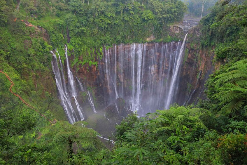 A multi-tiered waterfall surrounded by dense forest. 1