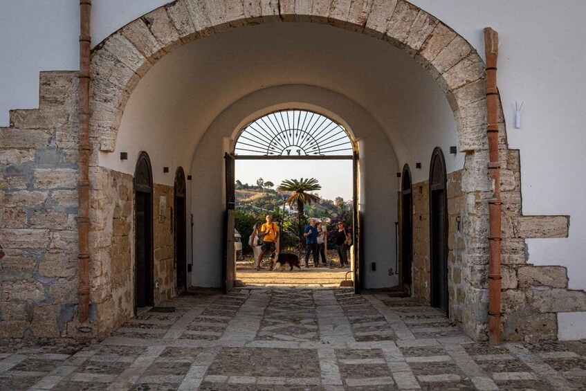 An arched entranceway leading to a courtyard with people and a dog. 1