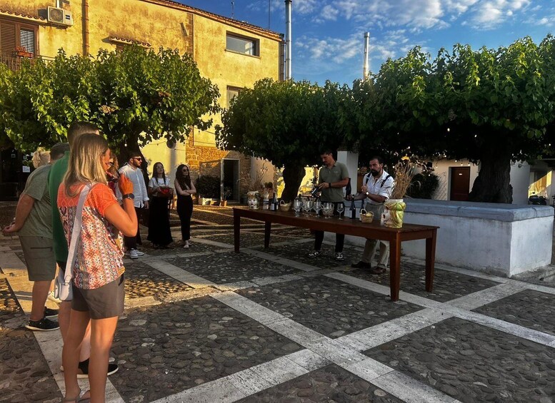 Picture 7 for Activity Alcamo: Chiarelli Rossotti Winery Tour with Wine Tasting 1