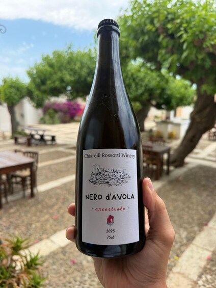 Picture 3 for Activity Alcamo: Chiarelli Rossotti Winery Tour with Wine Tasting 3