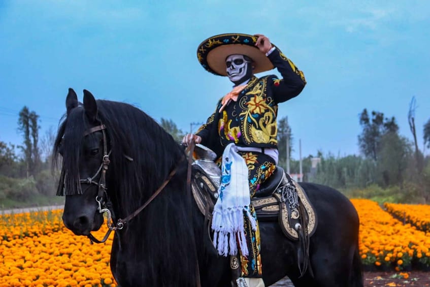 A person on a black horse in a field of orange flowers. 5