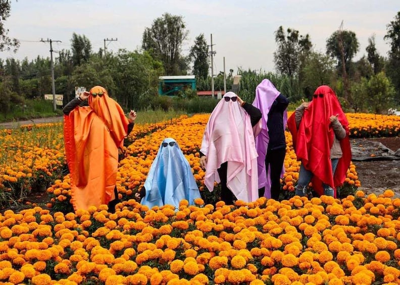 A field of orange flowers with people wearing colorful cloaks. 2