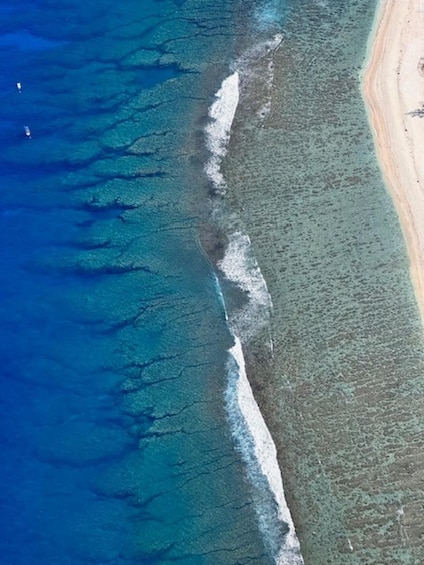 A coastal landscape with a clear demarcation between the ocean and the beach. 5