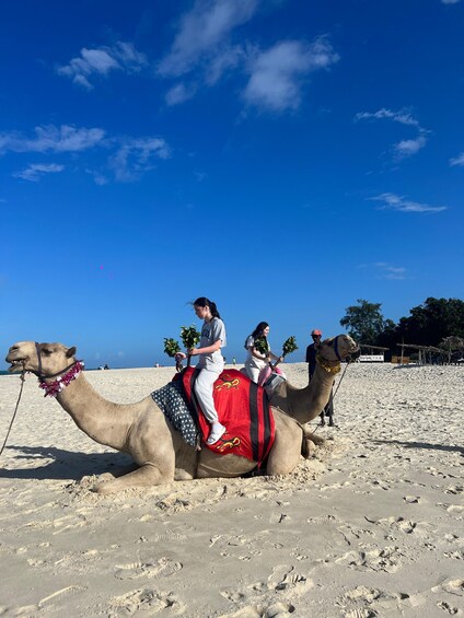 A camel with riders on a sandy beach. 3