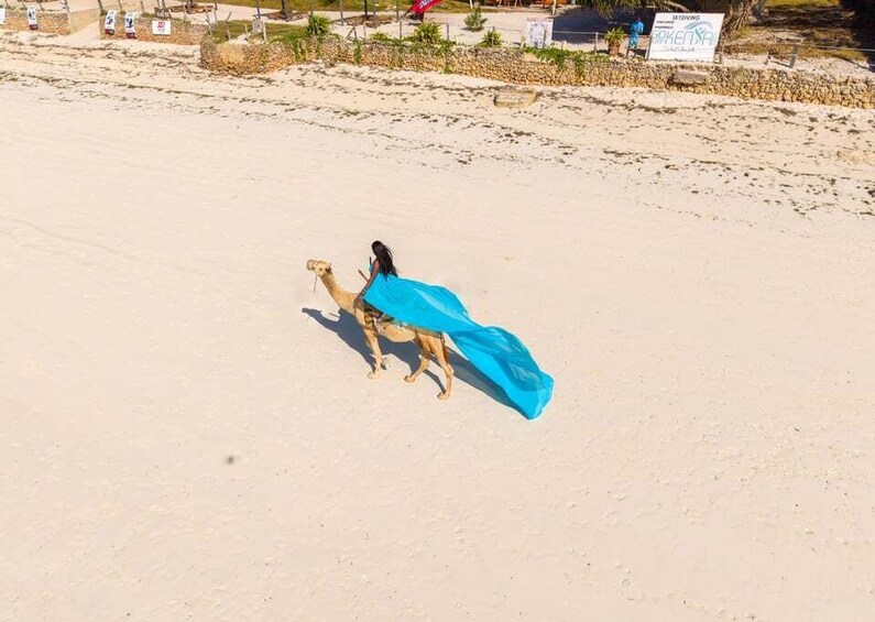 A camel with a blue cloth on a sandy beach. 5