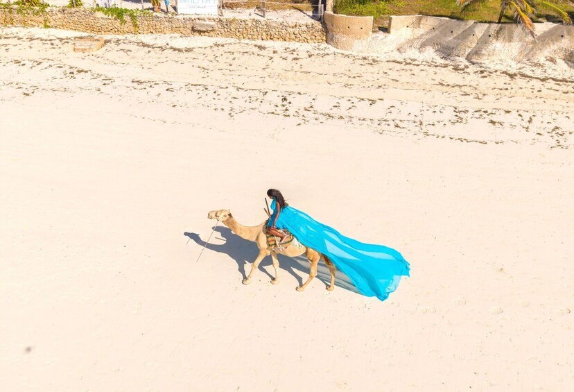 A camel with a rider on a sandy beach. 2