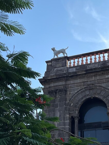 A stone building with a dog statue on top, surrounded by green foliage. 2