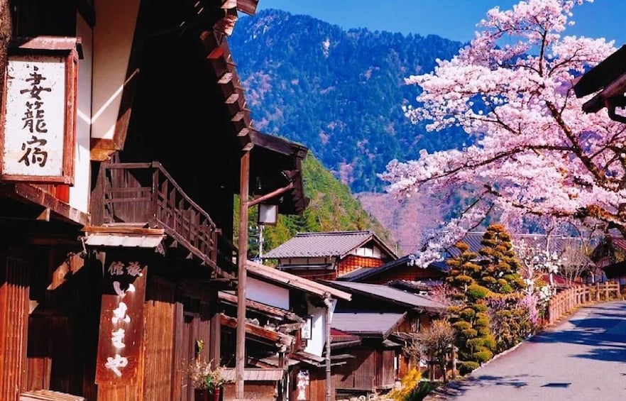 A traditional Japanese village with wooden houses, cherry blossoms, and a mountain backdrop. 1