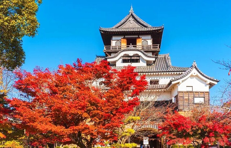 A traditional Japanese building with a multi-tiered roof and red foliage in the foreground. 4
