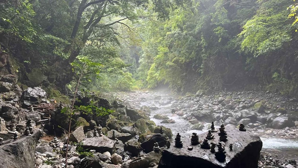 A forested area with a stream, rocks, and stacked stones. 5
