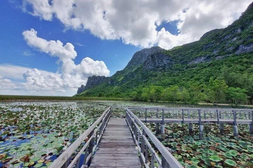 A wooden bridge over a lake with lily pads, leading to a mountainous landscape. 1