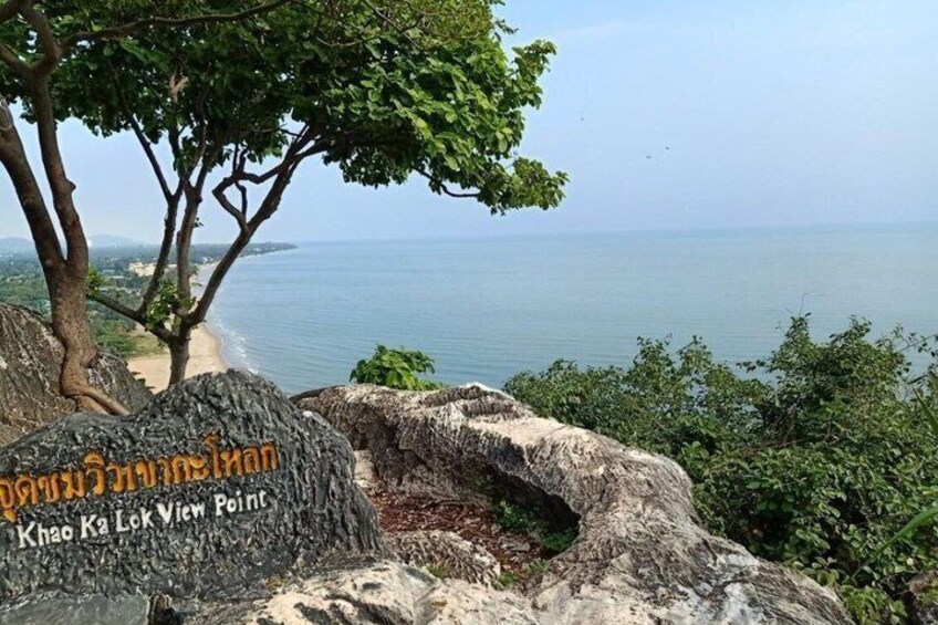 A rocky viewpoint with a tree, a view of the sea, and a sign with text. 4