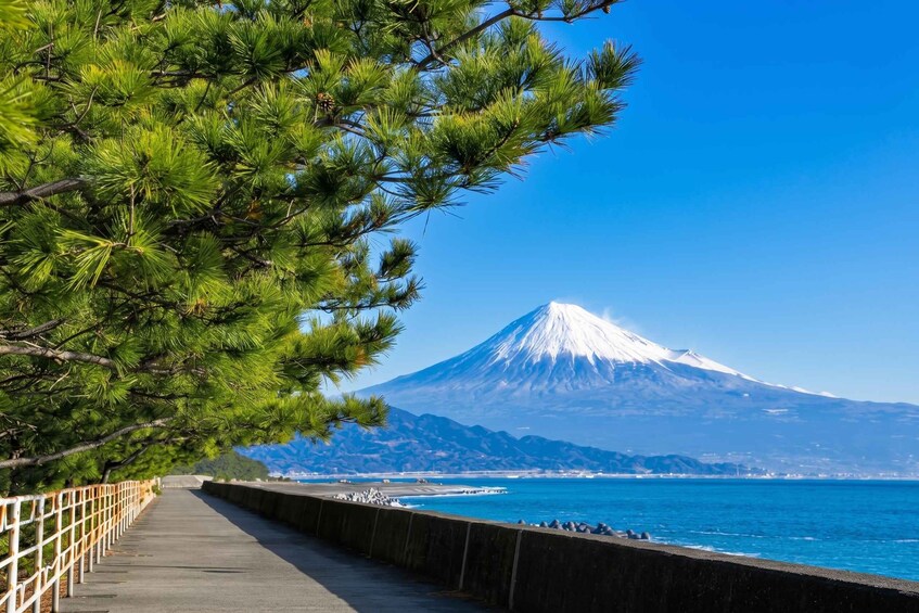 Shimizu, Shizuoka: Private Custom Tour with Local Guide 1
