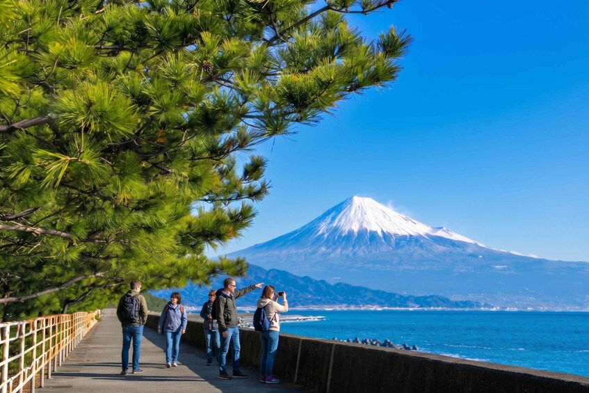 A group of people walking along a coastal walkway with a view of a snow-capped mountain in the background. 3