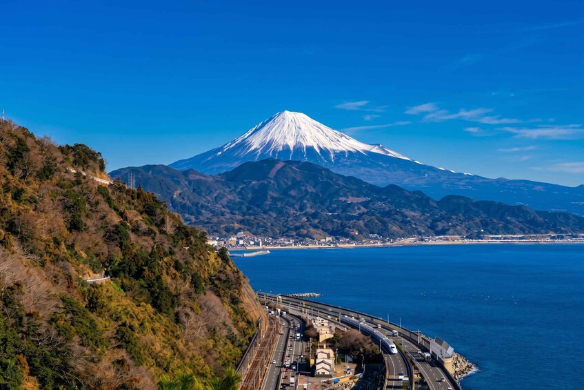 Picture 8 for Activity Shimizu, Shizuoka: Private Custom Tour with Local Guide 5