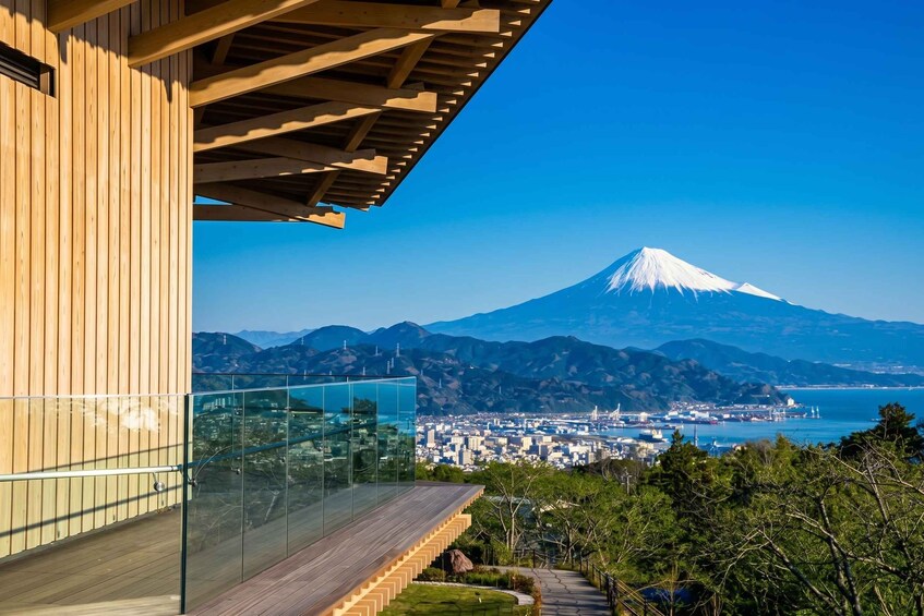 Picture 7 for Activity Shimizu, Shizuoka: Private Custom Tour with Local Guide 2