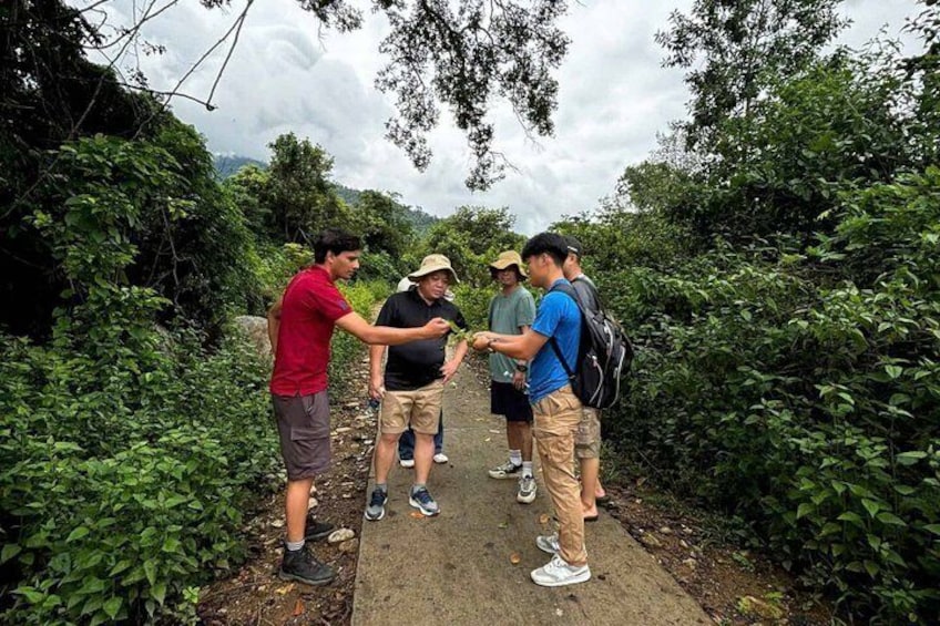 A group of people on a narrow path surrounded by dense greenery. 4