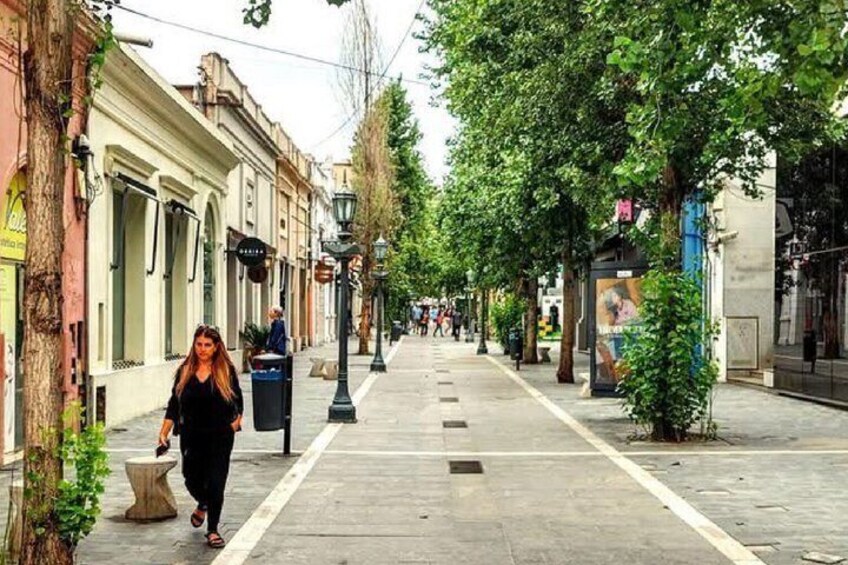 A pedestrian street lined with trees and buildings, with a person walking. 5