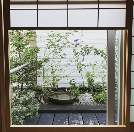 A garden with various plants and a small pond. 4