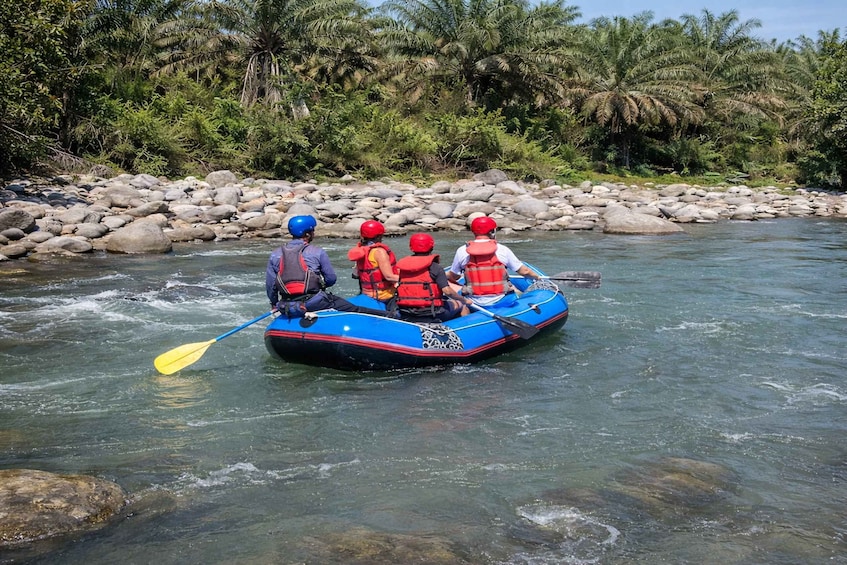 Eine Gruppe von Menschen paddelt mit Kajaks auf einem Fluss, der von Felsen und Palmen gesäumt ist. 1