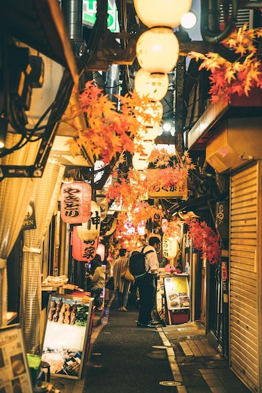A narrow alley with traditional lanterns and signs, indicating a cultural or historical area. 2