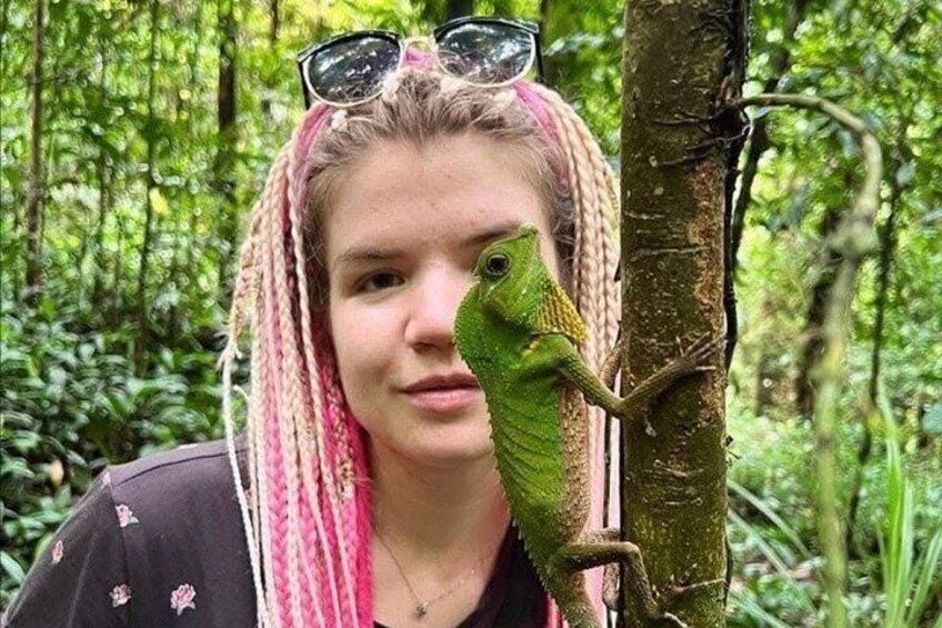 A person with pink braids and sunglasses, a green lizard on a tree, and a dense green forest background. 5