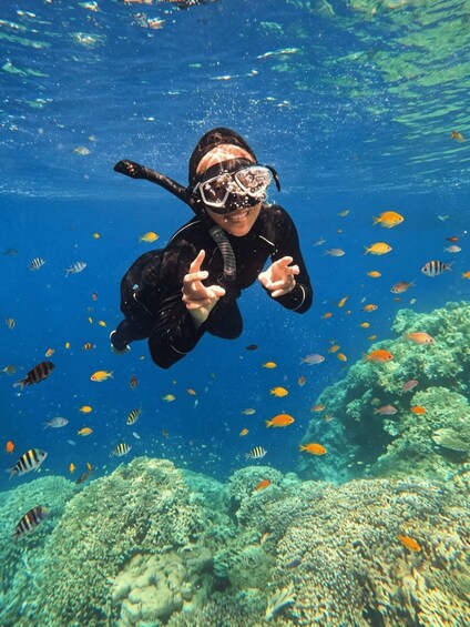 A person scuba diving underwater with various fish and coral reefs. 1