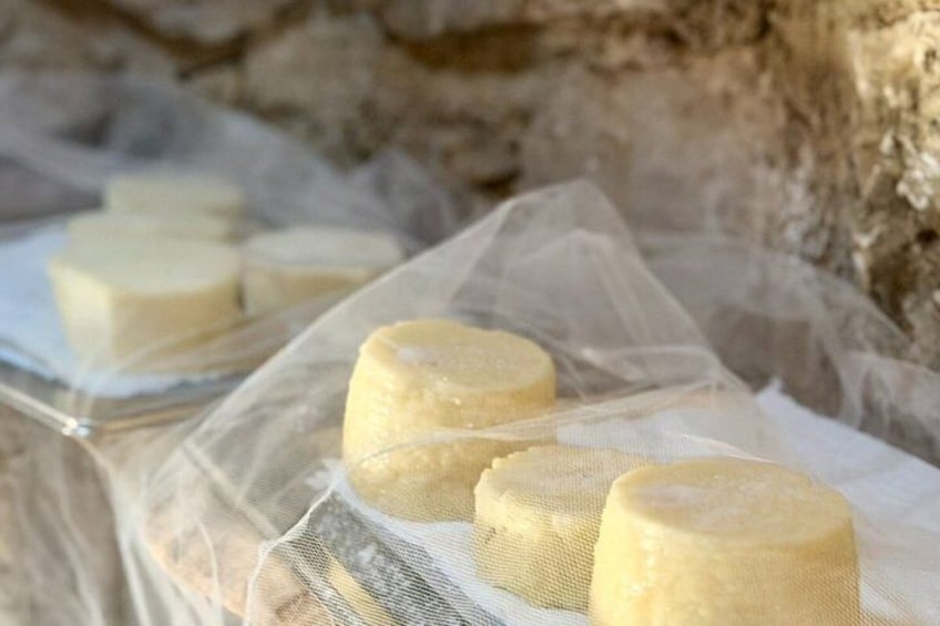 Cheese wheels in a plastic bag. 1