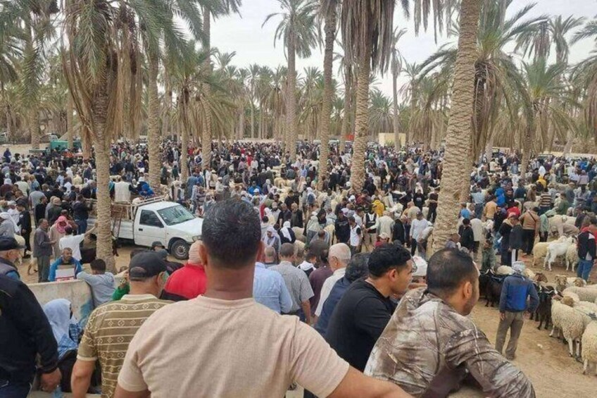 A crowded outdoor market with palm trees and a white vehicle. 2
