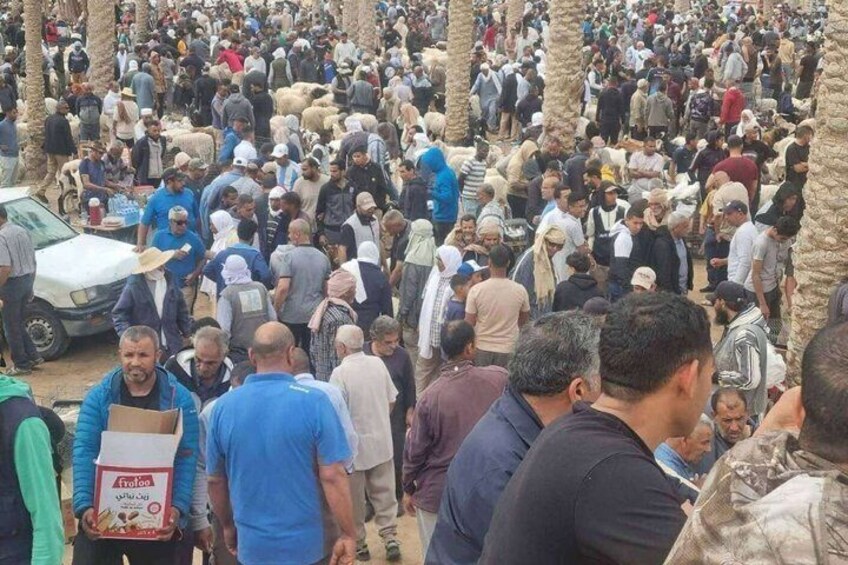 A crowded outdoor market with people and animals. 3