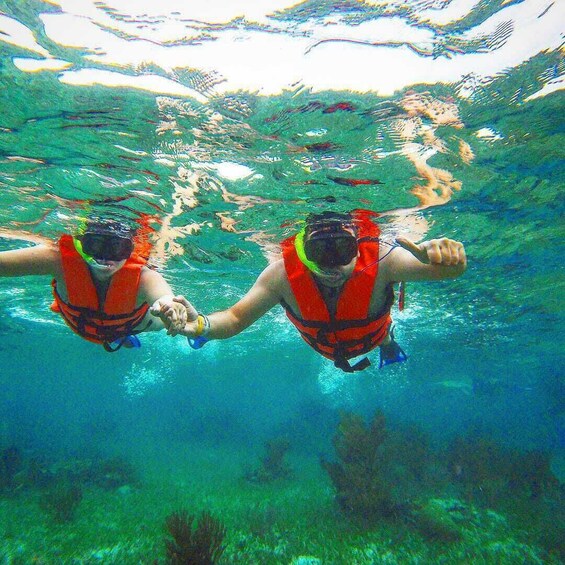 Reef & Ride Adventure - Cenote, Food & Beverage + Transportation 1
