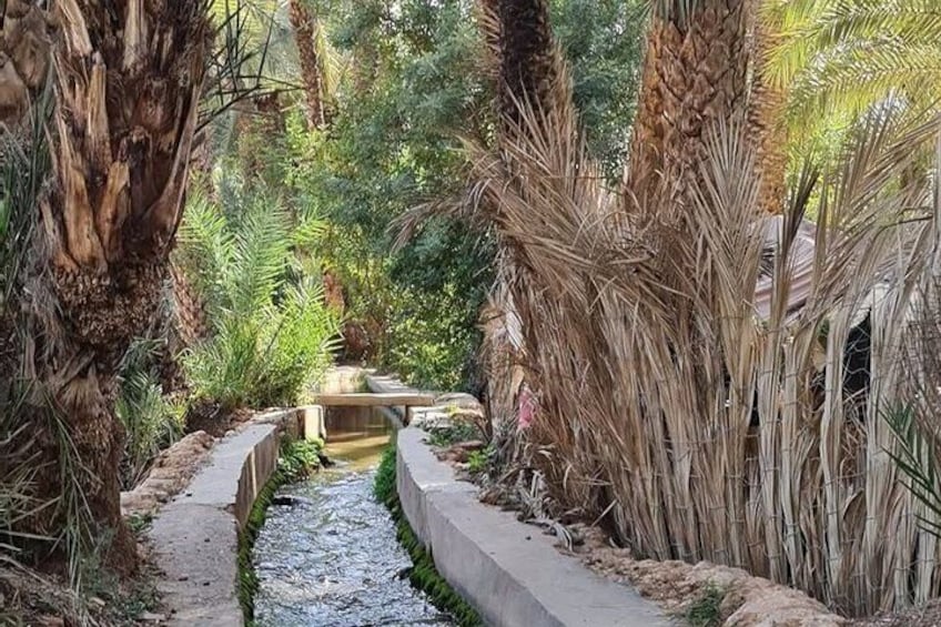 A narrow water channel flanked by palm trees and greenery, with a concrete pathway leading through it. 4