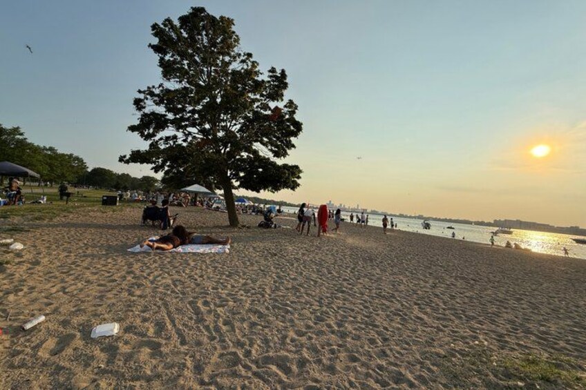 A beach with people, a large tree, and a sunset. 4