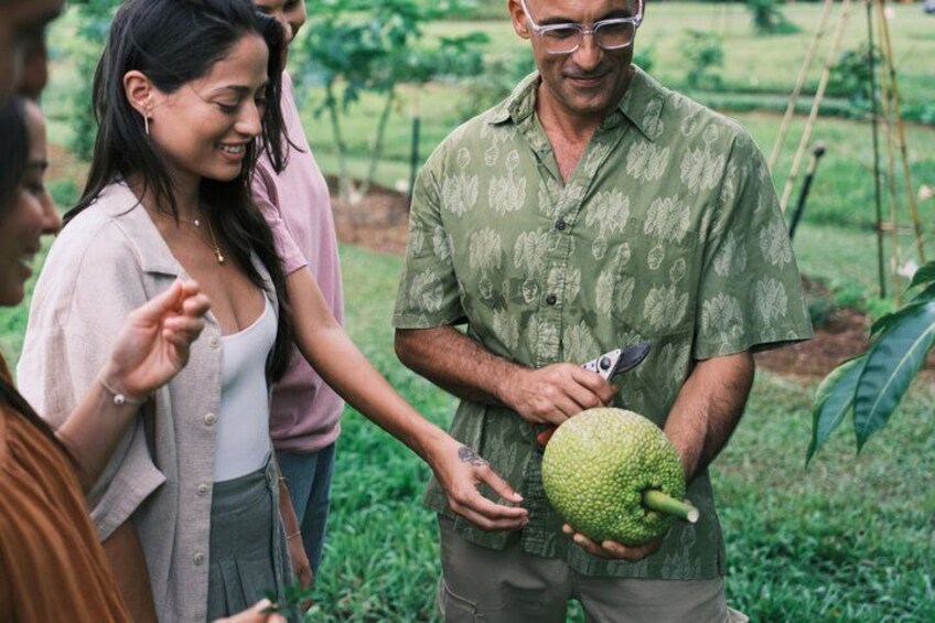 A group of people in a garden holding a large green fruit. 3