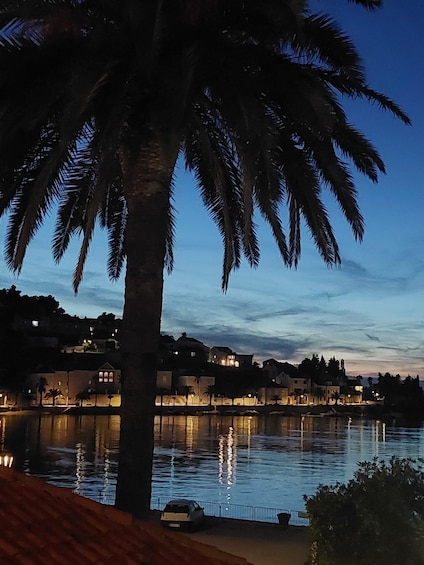 A waterfront at dusk with illuminated buildings and a palm tree. 2